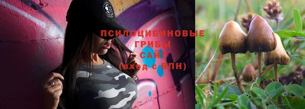 кокс Богородск