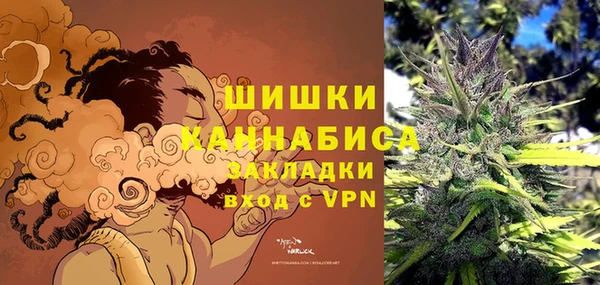 стафф Богданович