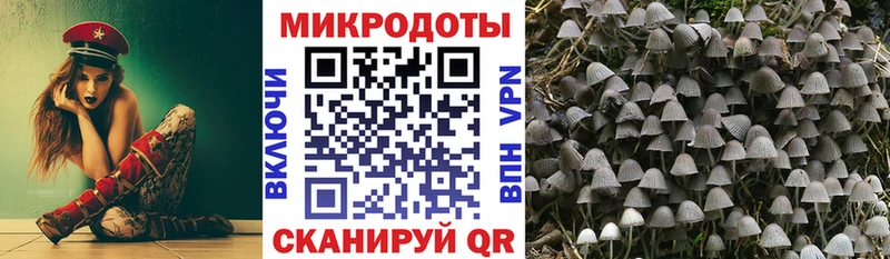 как найти наркотики  Яблоновский  Галлюциногенные грибы GOLDEN TEACHER 